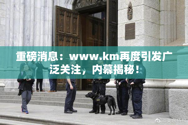 重磅消息：www.km再度引发广泛关注，内幕揭秘！