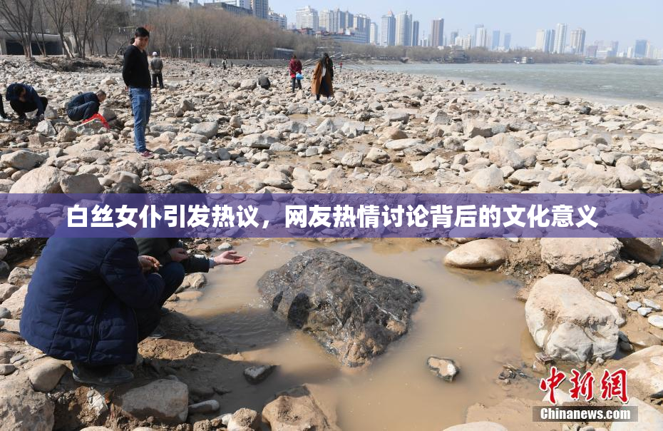 白丝女仆引发热议，网友热情讨论背后的文化意义