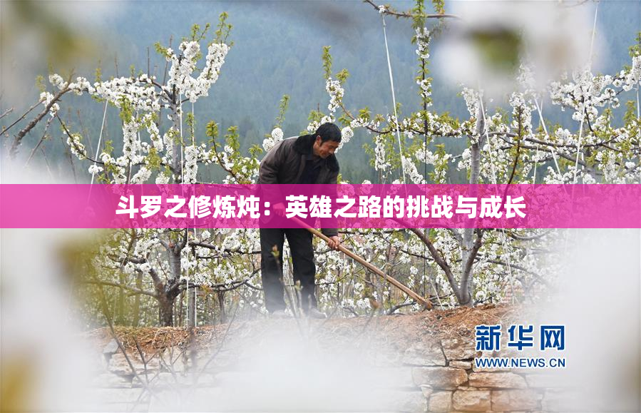 斗罗之修炼炖：英雄之路的挑战与成长
