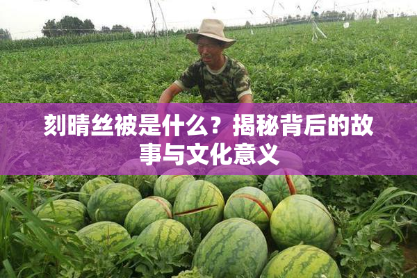 刻晴丝被是什么？揭秘背后的故事与文化意义