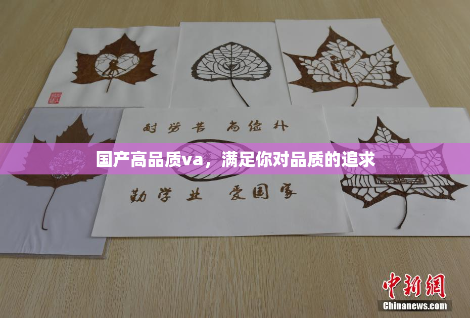 国产高品质va，满足你对品质的追求