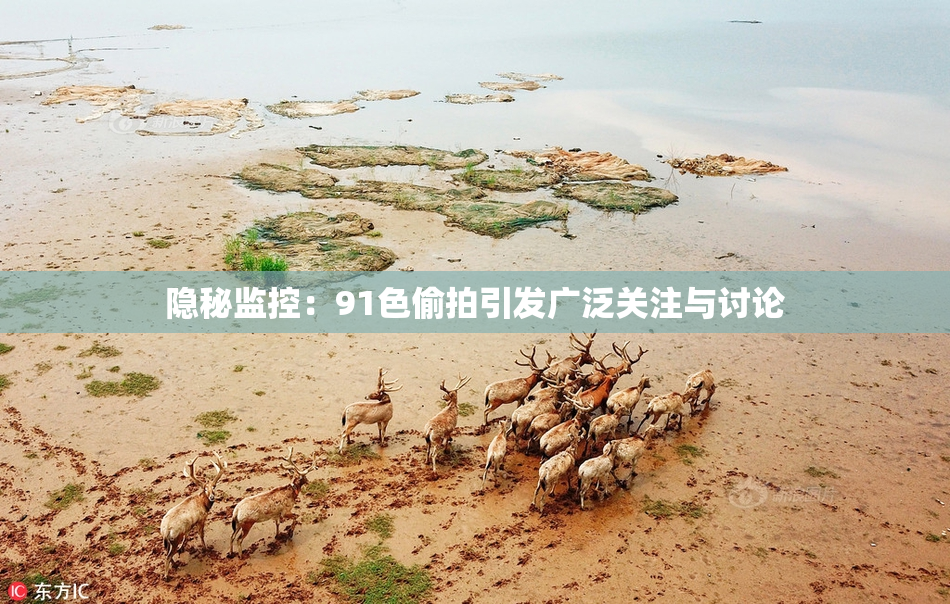 隐秘监控：91色偷拍引发广泛关注与讨论