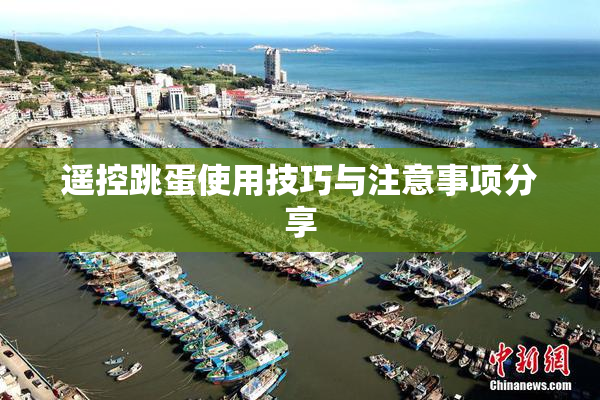 遥控跳蛋使用技巧与注意事项分享