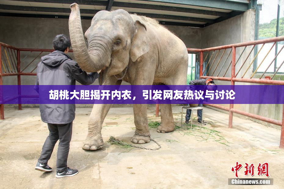 胡桃大胆揭开内衣，引发网友热议与讨论