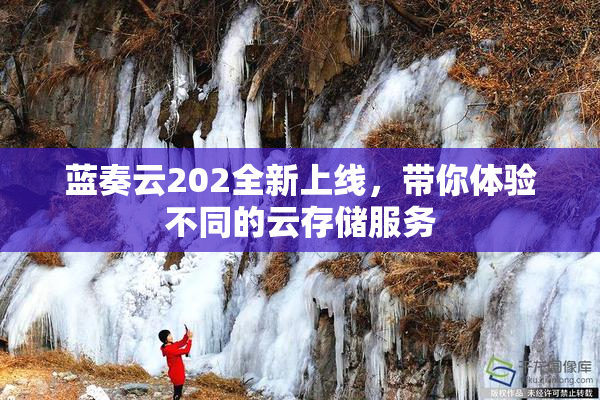蓝奏云202全新上线，带你体验不同的云存储服务