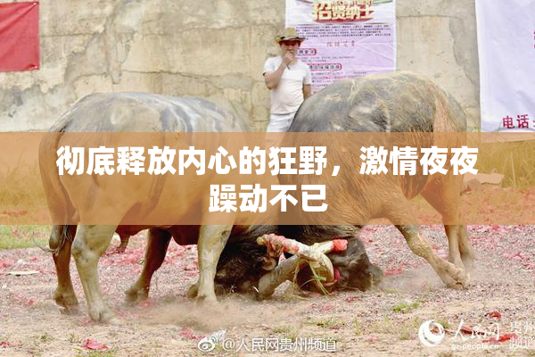 彻底释放内心的狂野，激情夜夜躁动不已