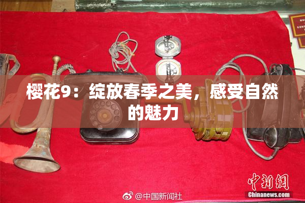樱花9：绽放春季之美，感受自然的魅力