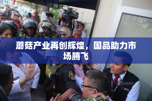 蘑菇产业再创辉煌，国品助力市场腾飞