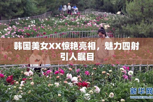 韩国美女XX惊艳亮相，魅力四射引人瞩目