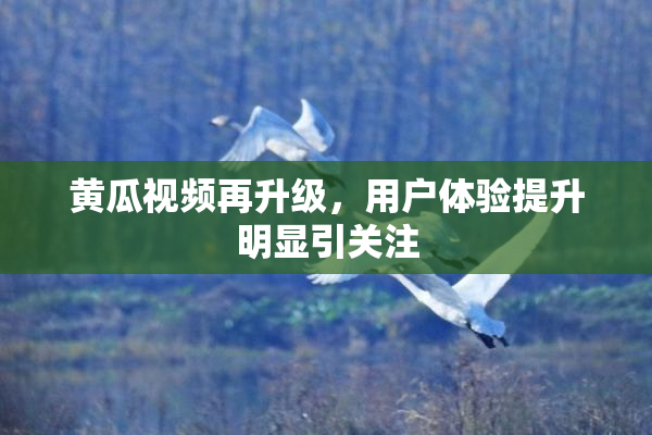 黄瓜视频再升级，用户体验提升明显引关注