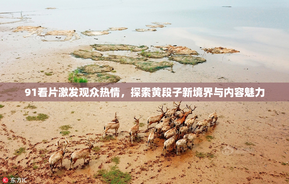 91看片激发观众热情，探索黄段子新境界与内容魅力