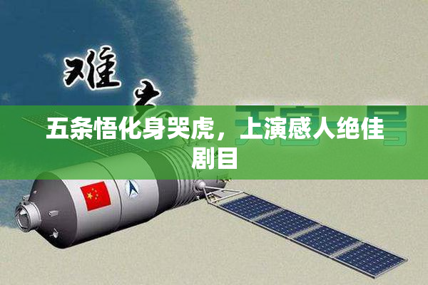 五条悟化身哭虎，上演感人绝佳剧目