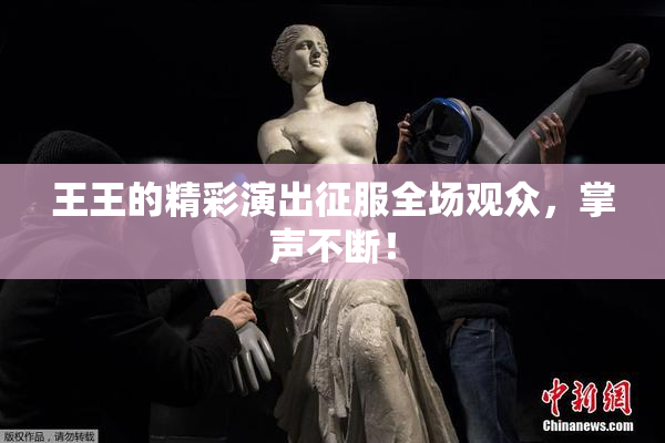 王王的精彩演出征服全场观众，掌声不断！