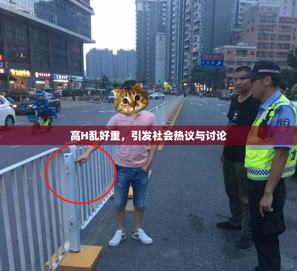 高H乱好重，引发社会热议与讨论