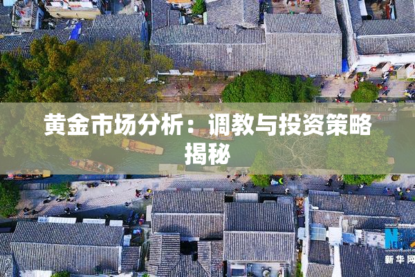 黄金市场分析：调教与投资策略揭秘