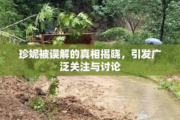珍妮被误解的真相揭晓，引发广泛关注与讨论