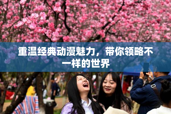 重温经典动漫魅力，带你领略不一样的世界