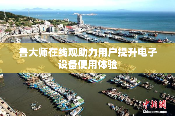 鲁大师在线观助力用户提升电子设备使用体验