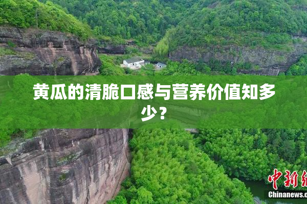 黄瓜的清脆口感与营养价值知多少？