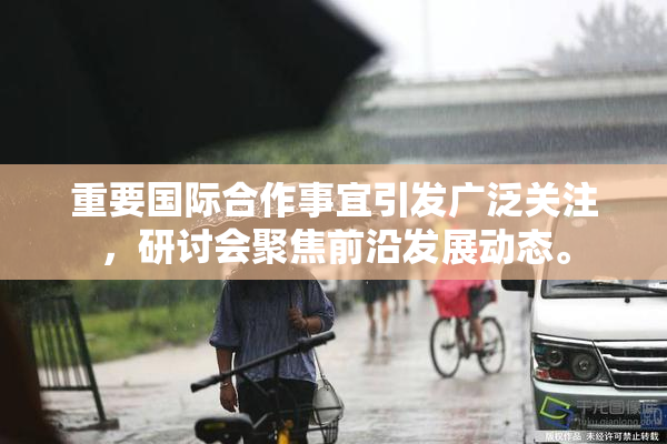 重要国际合作事宜引发广泛关注，研讨会聚焦前沿发展动态。