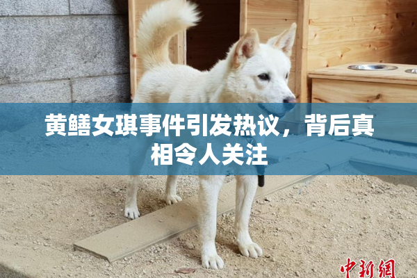 黄鳝女琪事件引发热议，背后真相令人关注