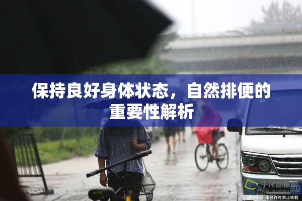 保持良好身体状态，自然排便的重要性解析