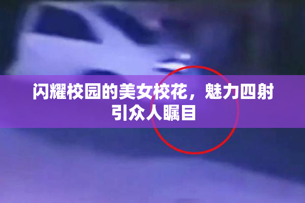 闪耀校园的美女校花，魅力四射引众人瞩目
