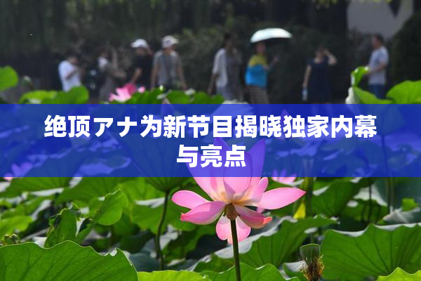 绝顶アナ为新节目揭晓独家内幕与亮点