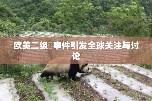 欧美二级婬事件引发全球关注与讨论