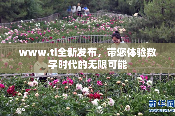 www.ti全新发布，带您体验数字时代的无限可能