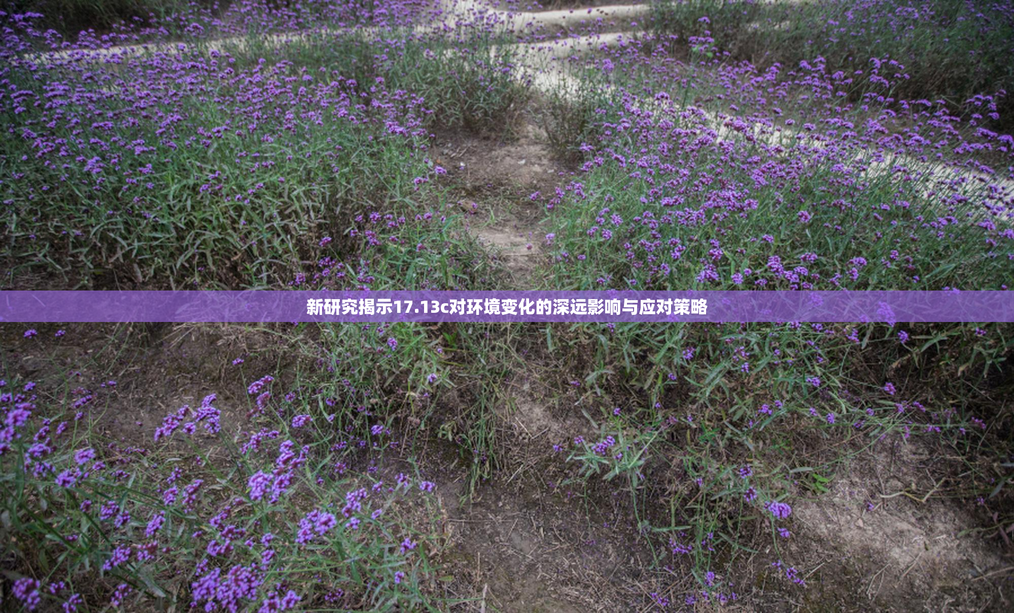 新研究揭示17.13c对环境变化的深远影响与应对策略