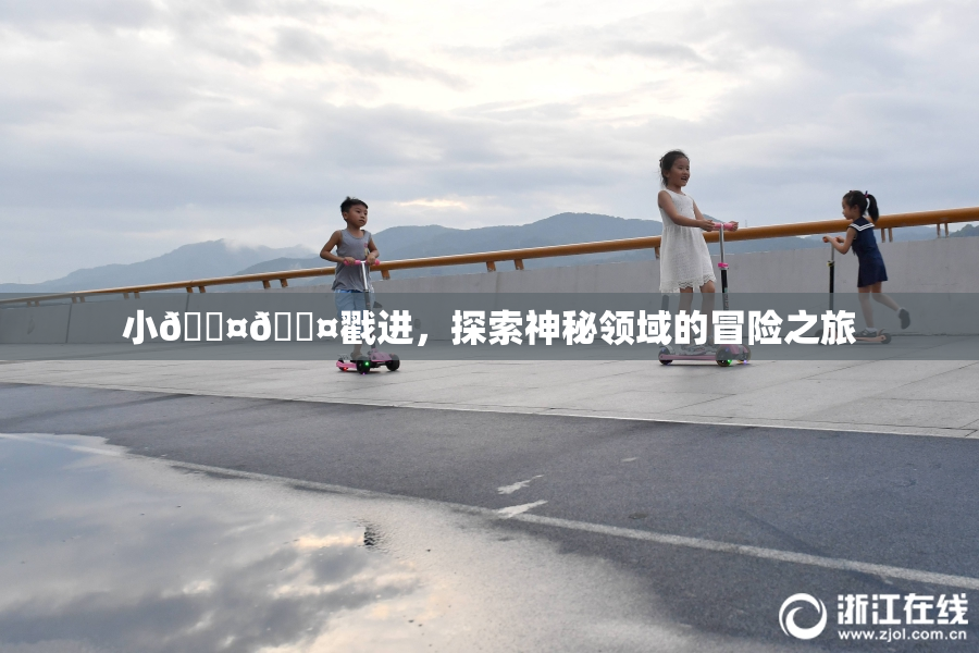 小🐤🐤戳进，探索神秘领域的冒险之旅