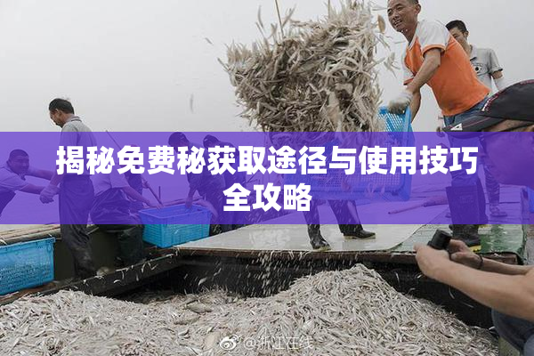 揭秘免费秘获取途径与使用技巧全攻略