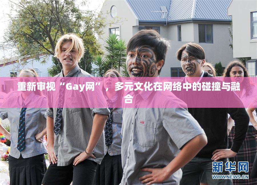 重新审视“Gay网”，多元文化在网络中的碰撞与融合