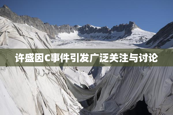 许盛因C事件引发广泛关注与讨论