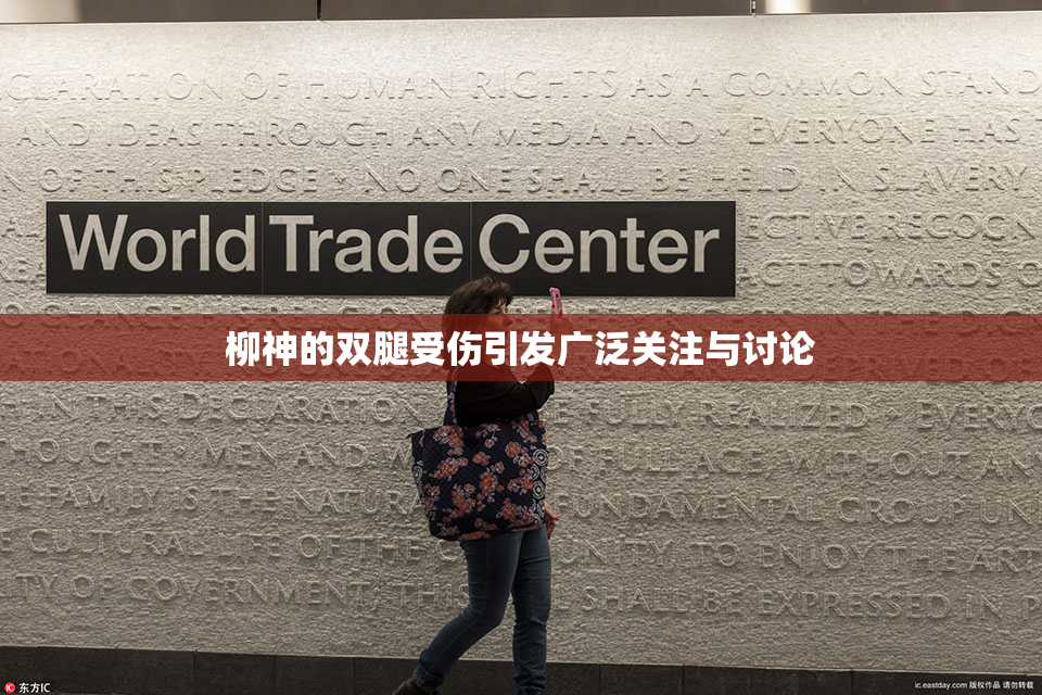 柳神的双腿受伤引发广泛关注与讨论