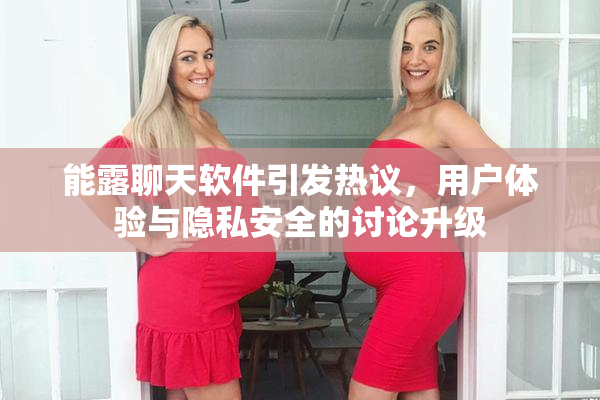 能露聊天软件引发热议，用户体验与隐私安全的讨论升级