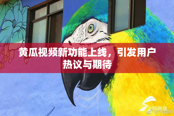 黄瓜视频新功能上线，引发用户热议与期待