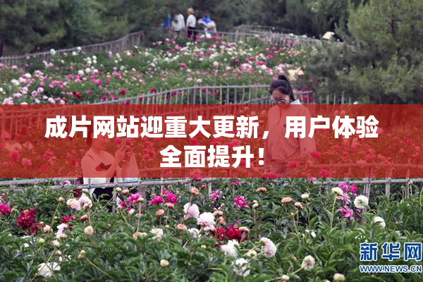 成片网站迎重大更新，用户体验全面提升！
