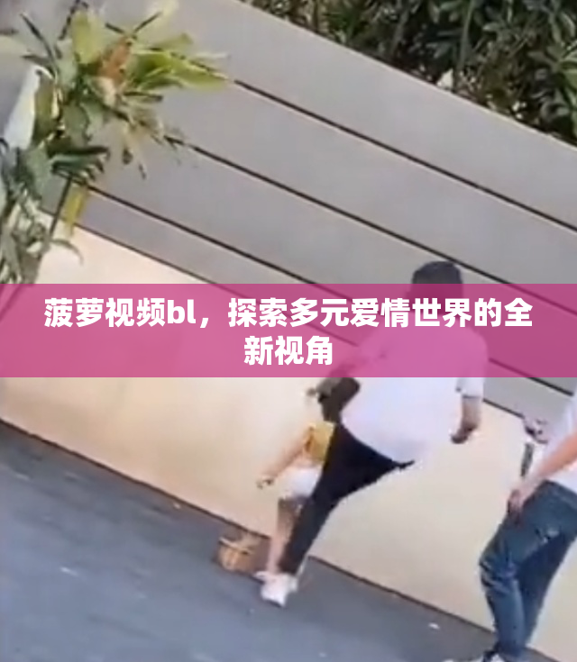 菠萝视频bl，探索多元爱情世界的全新视角