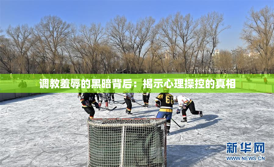 调教羞辱的黑暗背后：揭示心理操控的真相