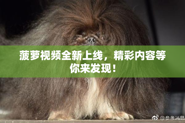 菠萝视频全新上线，精彩内容等你来发现！