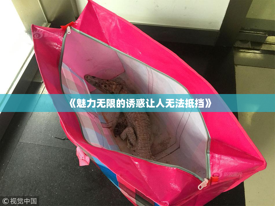 《魅力无限的诱惑让人无法抵挡》