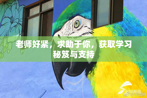 老师好紧，求助于你，获取学习秘笈与支持