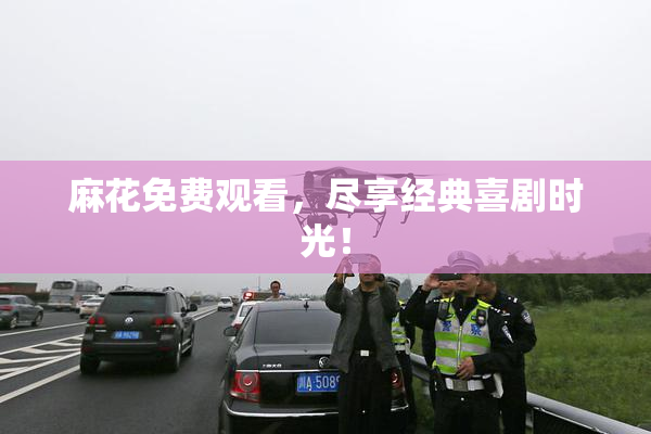 麻花免费观看，尽享经典喜剧时光！