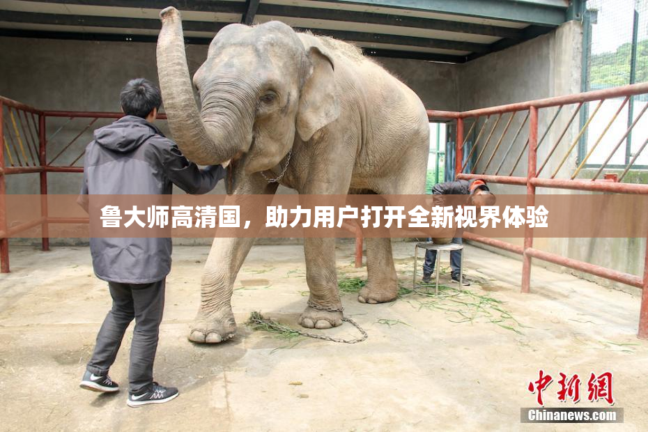 鲁大师高清国，助力用户打开全新视界体验