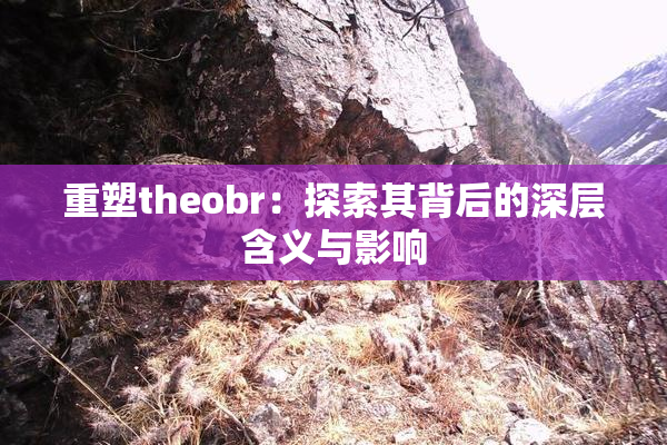 重塑theobr：探索其背后的深层含义与影响