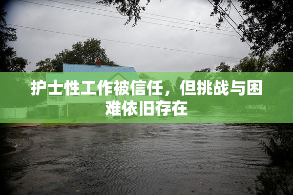 护士性工作被信任，但挑战与困难依旧存在