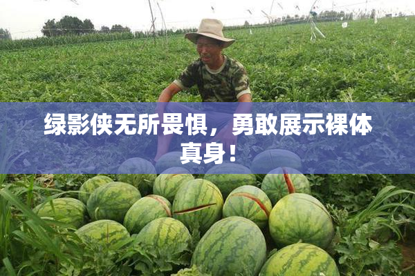 绿影侠无所畏惧，勇敢展示裸体真身！