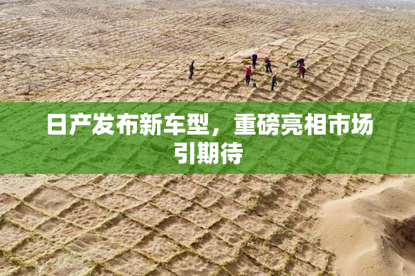 日产发布新车型，重磅亮相市场引期待